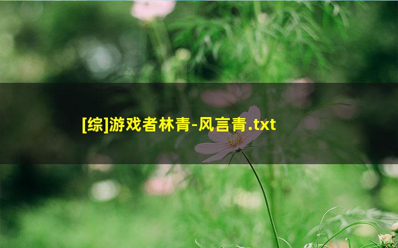 [综]游戏者林青-风言青.txt txt/pdf/azw3/mobi电子版百度夸克网盘下载